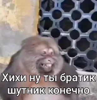 🐵 emoji стикеры ➡️ @stikeryy7 Telegram sticker 9 of 50