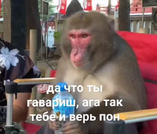 🐵 emoji стикеры ➡️ @stikeryy7 Telegram sticker 14 of 50