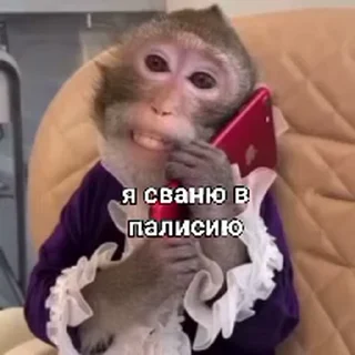 🐵 emoji стикеры ➡️ @stikeryy7 Telegram sticker 4 of 50