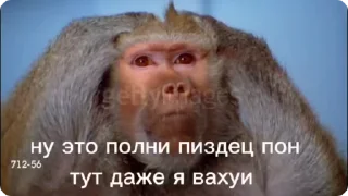 🌟 emoji байден by @offstikbot Telegram sticker 15 of 94