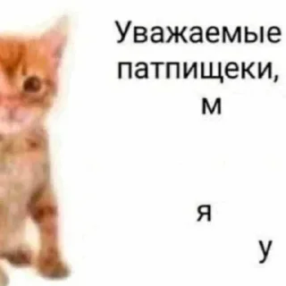 🌟 emoji мино лино Telegram sticker 12 of 116