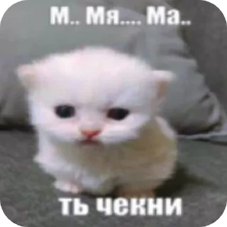 мили кити :³ @SoyBite sticker 3