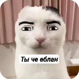 🐱 emoji Мяу мяу мяуу @Stikerhi_bot Telegram sticker 4 of 23