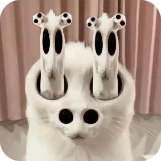 🐱 emoji Мяу мяу мяуу @Stikerhi_bot Telegram sticker 6 of 23