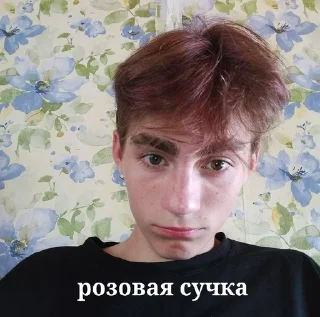 🌟 emoji мяуу Telegram sticker 18 of 77