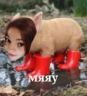 Sticker from мяуу