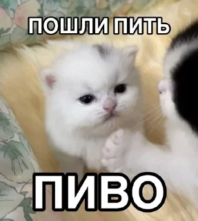 Sticker from Игоревна и котячий мир