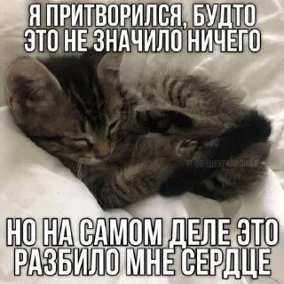 Sticker from Игоревна и котячий мир