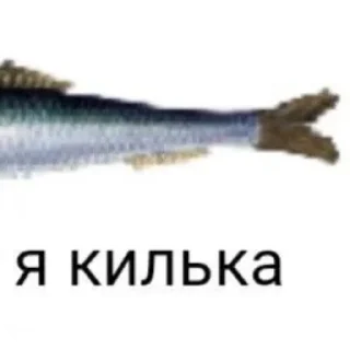 Sticker from Я гей