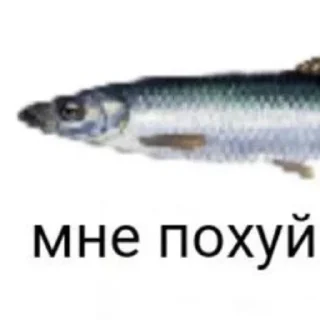 Sticker from Я гей