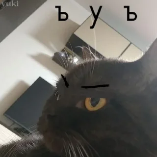 😠 emoji Коты-воители Telegram sticker 16 of 42