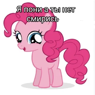 Sticker from я пони а ты нет смирись