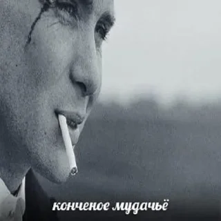 Sticker from мошкино 2