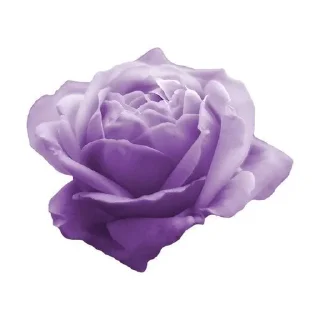 💜 emoji °•○ⲊⲉⲓⲕⲟⲔⲓⲙυʀⲁ○•° Telegram sticker 6 of 20