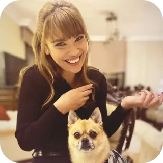 🐶 emoji Дамла от @AtraSlove НЕ БРАТЬ Telegram sticker 13 of 120