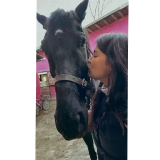 🐎 emoji Дамла от @AfraSlove НЕ БРАТЬ Telegram sticker 24 of 120