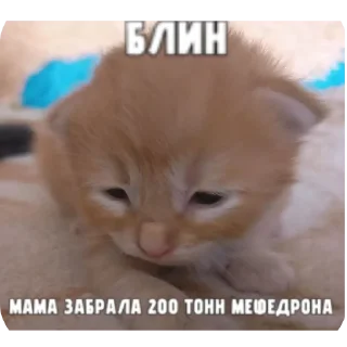 Sticker from АДОЛЬФ ГИТЛЕР?!