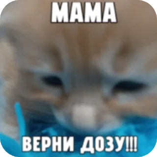 Sticker from АДОЛЬФ ГИТЛЕР?!
