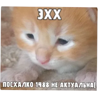 Sticker from АДОЛЬФ ГИТЛЕР?!
