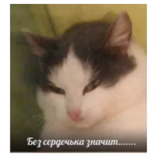 Sticker from Кеша