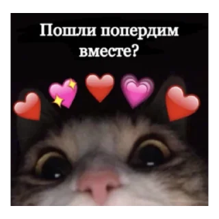 Sticker from Кеша