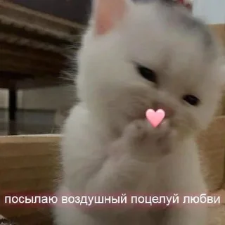 💘 emoji love!!💗 Telegram sticker 19 of 69
