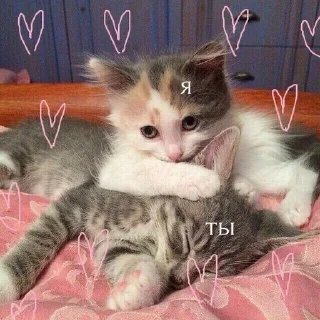 💕 emoji love!!💗 Telegram sticker 13 of 69