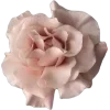 🌟 emoji verikslee’🥥🎀 @TgEmojis_bot Telegram sticker 2 of 62