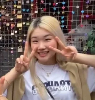 ✌️ emoji hey sisters @lovely_skz Telegram sticker 24 of 38