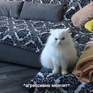 Sticker from как жить