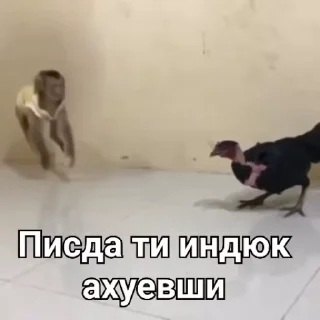 Sticker from Для переговоров 2 часть