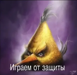 🌟 emoji Сидим не рыпаемся от @gogot240 Telegram sticker 3 of 14