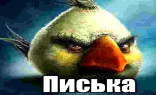 🌟 emoji Сидим не рыпаемся от @gogot240 Telegram sticker 14 of 14