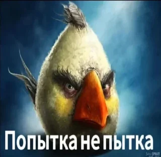 🌟 emoji Сидим не рыпаемся от @gogot240 Telegram sticker 9 of 14