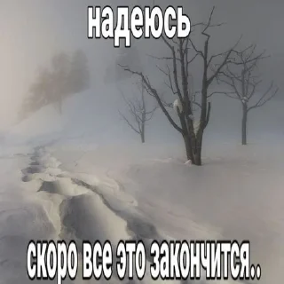 🌟 emoji Я нереален блять Telegram sticker 17 of 120