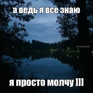 🌟 emoji Я нереален блять Telegram sticker 24 of 120