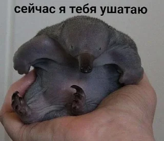 😡 emoji Хех Telegram sticker 14 of 51