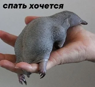 😒 emoji Хех Telegram sticker 15 of 51