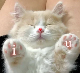 Sticker from 💕💞💓💗💖💘💝🛍