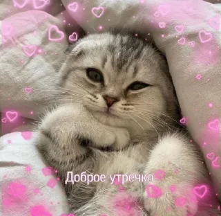 Sticker from 💕💞💓💗💖💘💝🛍