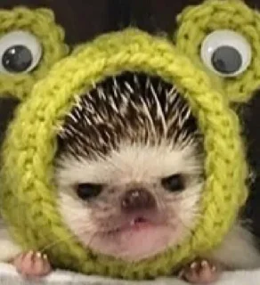 Sticker from ёжикиии🦔