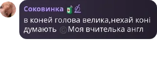 Sticker from Кодові імена | Чат 🇺🇦 pack by @QuotLyBot