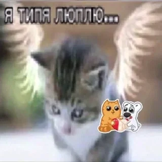❤️‍🩹 emoji fuck off Telegram sticker 16 of 61