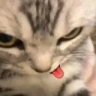 😼 emoji fuck off Telegram sticker 10 of 61