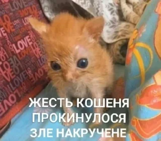 Sticker from Лі Сау