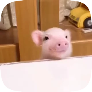 🌟 emoji Memes gif Telegram sticker 10 of 107