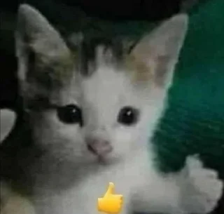 Sticker from Котятки