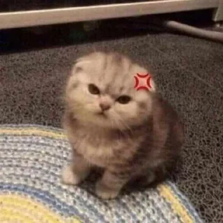 Sticker from Котятки