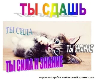 Sticker from Людское