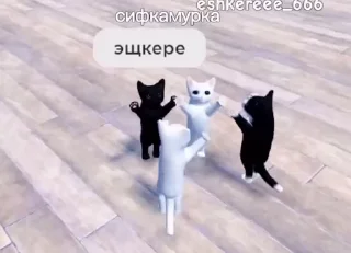 Sticker from Братство Комаров @KAMARDK @MoiStikiBot